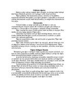 Referāts 'Tīģeris - dzimis, lai medītu', 8.