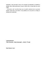 Eseja 'Pārdomas par Raiņa dramaturģijas darbu "Jāzeps un viņa brāļi"', 3.