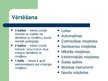 Prezentācija 'Rotaļlietas loma bērna psihiskajā attīstībā agrā bērnībā', 12.