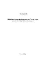 Referāts 'SIA "Daudznozaru kompānija Daugava" stratēģijas analīze un ieteikumi tās uzlaboš', 1.