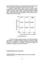 Referāts 'SIA "Daudznozaru kompānija Daugava" stratēģijas analīze un ieteikumi tās uzlaboš', 21.