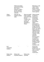 Konspekts 'Starptautiskās attiecības Otrā pasaules kara laikā', 2.