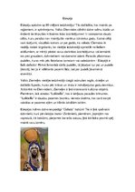 Konspekts 'Iedzīvotāji Āfrikā', 7.