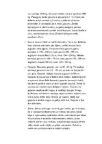 Konspekts 'Iedzīvotāji Āfrikā', 12.