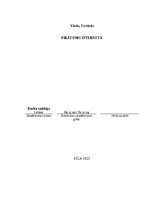 Referāts 'Pirātisms internetā', 1.