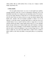 Referāts 'Pirātisms internetā', 6.