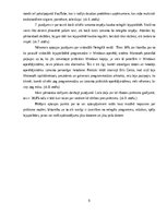 Referāts 'Pirātisms internetā', 9.