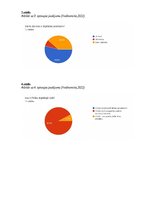 Referāts 'Pirātisms internetā', 13.