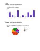 Referāts 'Pirātisms internetā', 15.