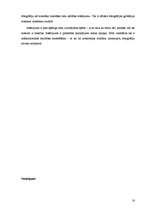 Referāts 'Reklāmas foto estētika', 18.