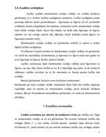 Referāts 'Laulības jēdziens', 4.