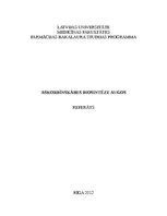 Konspekts 'Askorbīnskābes jeb C vitamīna biosintēze augos', 1.