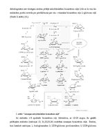 Konspekts 'Askorbīnskābes jeb C vitamīna biosintēze augos', 7.