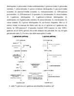 Konspekts 'Askorbīnskābes jeb C vitamīna biosintēze augos', 8.