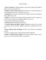 Konspekts 'Askorbīnskābes jeb C vitamīna biosintēze augos', 11.