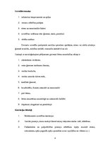 Referāts 'Devianta uzvedība bērnam, agresivitāte', 4.