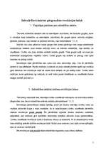 Referāts 'Pitirims Sorokins un viņa darbs ”Revolūcijas socioloģija”( 3. un 4.daļa)', 5.