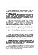 Eseja 'Personāla vadības loma un funkcijas organizācijā', 7.