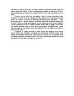 Eseja 'Kurts Vonnegūts „Čempionu brokastis jeb ardievu, melnā pirmdiena!”', 2.