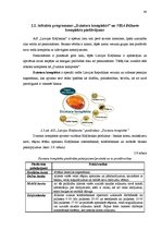 Referāts 'A/s "Latvijas Krājbanka" norēķinu karšu konkurētspējas paaugstināšanas projekts', 40.