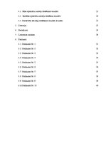 Referāts 'Epiteliālo audzēju ārstēšana ar fotodinamisko terapiju', 43.