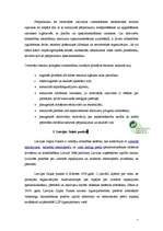 Referāts 'Atkritumu apsaimniekošana', 7.