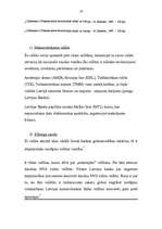 Referāts 'Latvijas nacionālā valūta pasaules naudas sistēmā', 10.