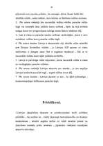 Referāts 'Latvijas nacionālā valūta pasaules naudas sistēmā', 26.