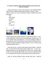 Referāts 'Tēlainās izteiksmes līdzekļi, retoriskās figūras un dzejas tēli – pārdzīvojumu a', 18.