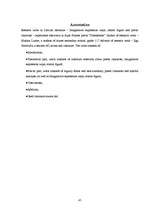 Referāts 'Tēlainās izteiksmes līdzekļi, retoriskās figūras un dzejas tēli – pārdzīvojumu a', 45.