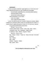 Referāts 'Tranzīta pārvadājuma veidi Latvijā', 2.