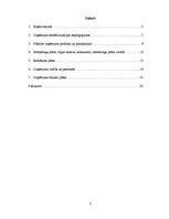 Biznesa plāns 'Skaistumkopšanas salons', 2.