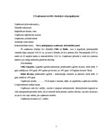 Biznesa plāns 'Skaistumkopšanas salons', 5.