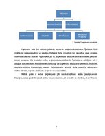 Biznesa plāns 'Skaistumkopšanas salons', 6.