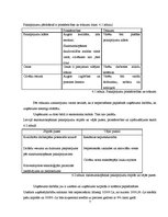 Biznesa plāns 'Skaistumkopšanas salons', 7.