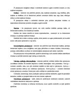 Biznesa plāns 'Skaistumkopšanas salons', 10.