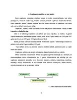 Biznesa plāns 'Skaistumkopšanas salons', 16.