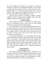 Referāts 'Latviešu tradicionālā tautastērpa īpatnības Kurzemē', 5.