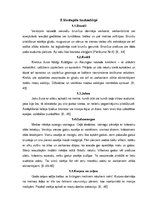 Referāts 'Latviešu tradicionālā tautastērpa īpatnības Kurzemē', 13.