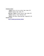 Konspekts 'Imanta Ziedoņa personība un epifānijas', 2.