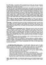 Konspekts 'Palīgs valsts eksāmenam tiesībās', 135.