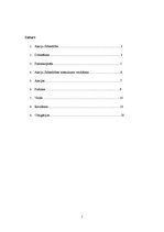 Referāts 'Akciju sabiedrība', 2.