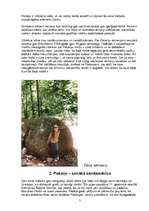 Referāts 'Pokaiņi', 3.