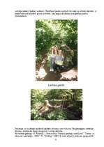 Referāts 'Pokaiņi', 6.