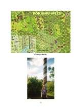 Referāts 'Pokaiņi', 11.