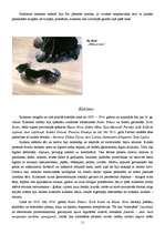 Referāts 'Arhitektūra un tēlotājmāksla 19.gadsimta beigās un 20.gadsimta sākumā', 11.