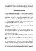 Diplomdarbs 'Rotaļas un spēles jaunākā pirmsskolas vecuma bērnu sensoro spēju attīstībā', 28.