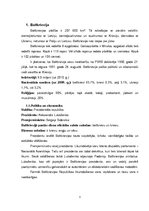 Eseja 'Sabiedriskās attiecības Baltkrievijā', 3.