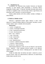 Eseja 'Sabiedriskās attiecības Baltkrievijā', 4.