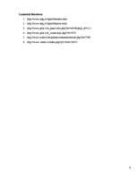 Referāts 'Iļģuciema tūristu piesaistes objekti', 9.